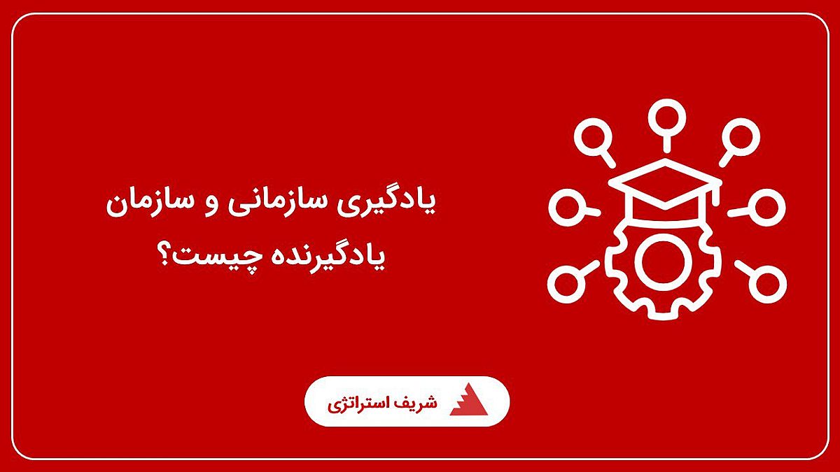 تعریف یادگیری سازمانی و سازمان یادگیرنده چیست؟