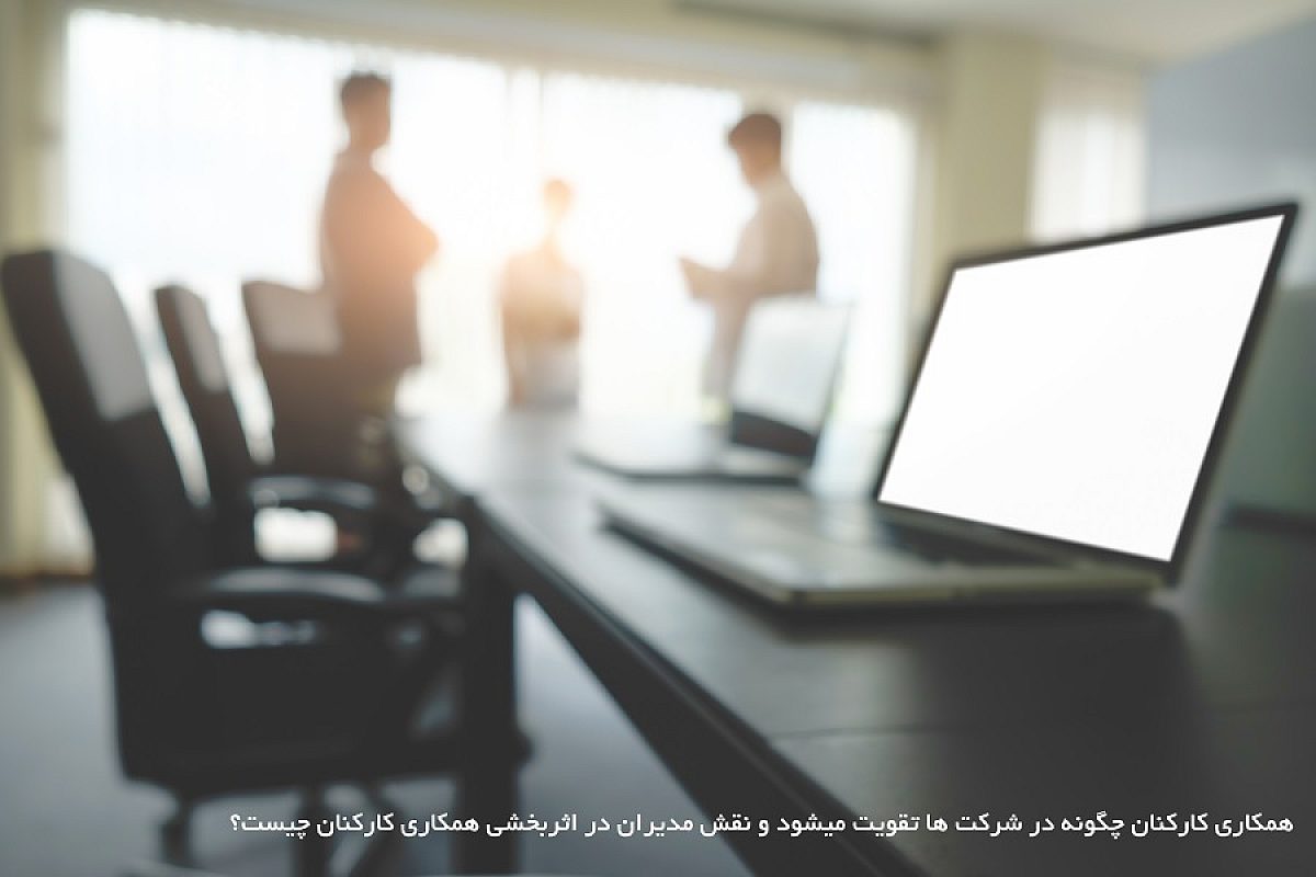 روحیه همکاری کارکنان چگونه در سازمان افزایش می یابد؟