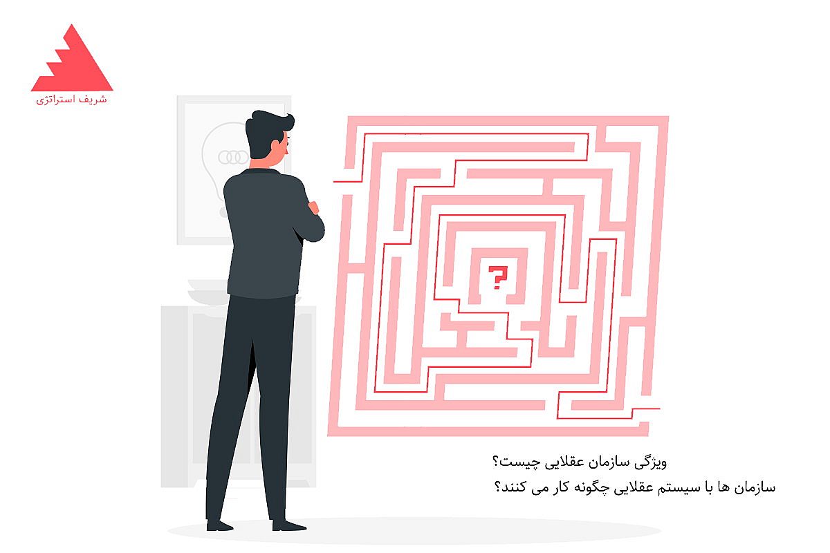 ویژگی سازمان عقلایی چیست؟ سازمان ها با سیستم عقلایی چگونه کار می کنند؟