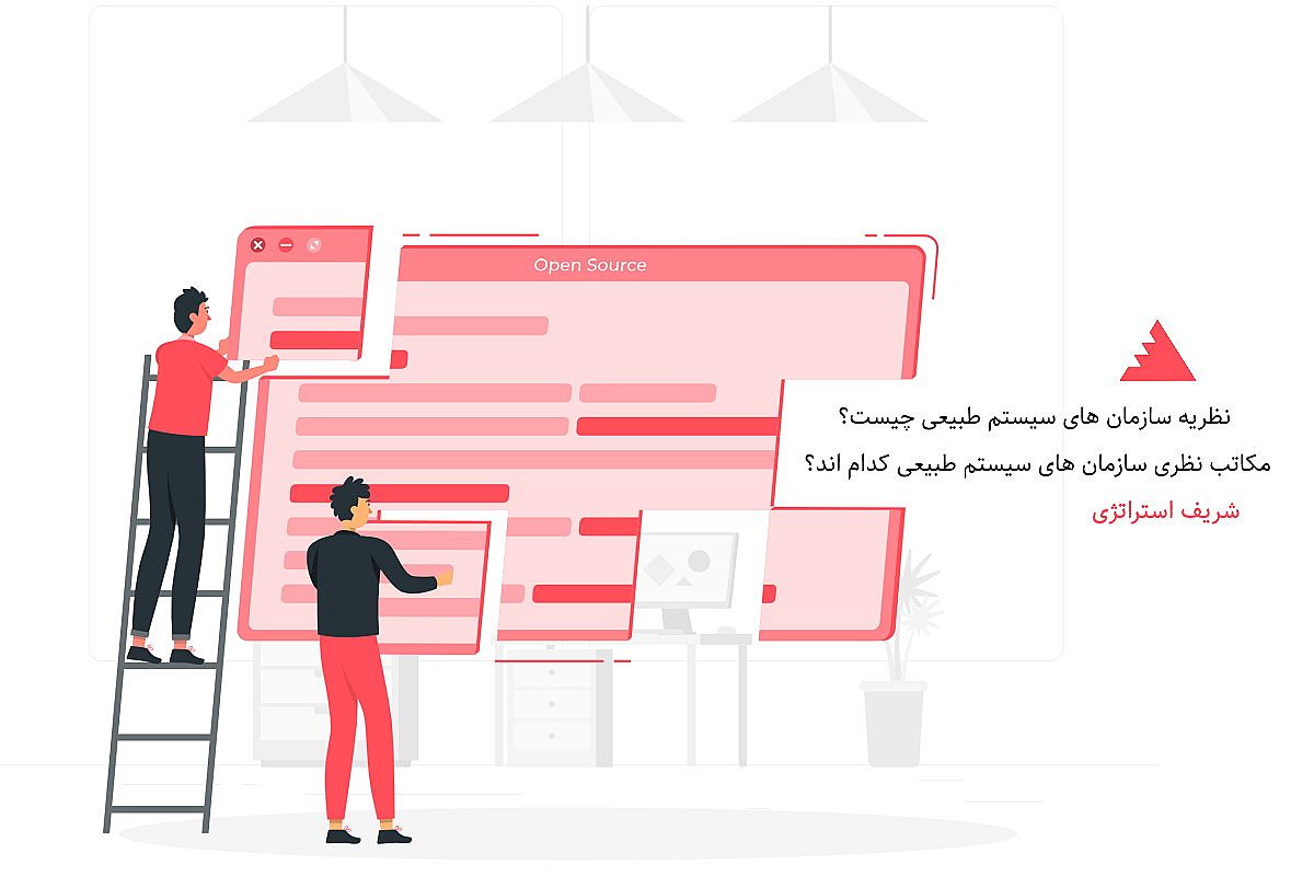 نظریه سازمان های سیستم طبیعی چیست؟ مکاتب نظری سازمان های سیستم طبیعی کدام اند؟