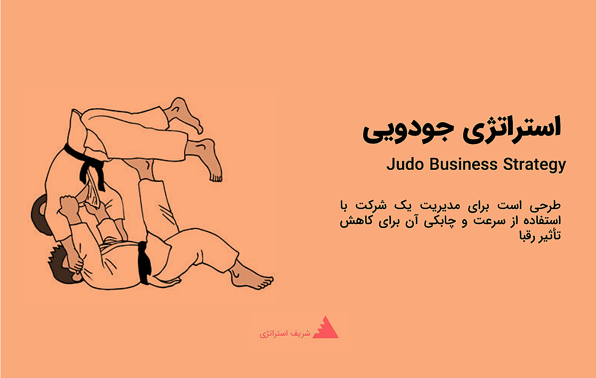 استراتژی جودویی چیست؟