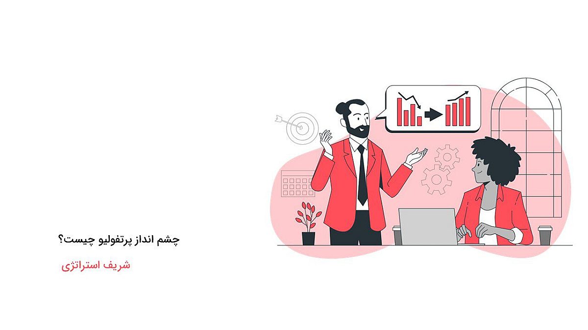 چشم انداز پورتفولیو چیست؟
