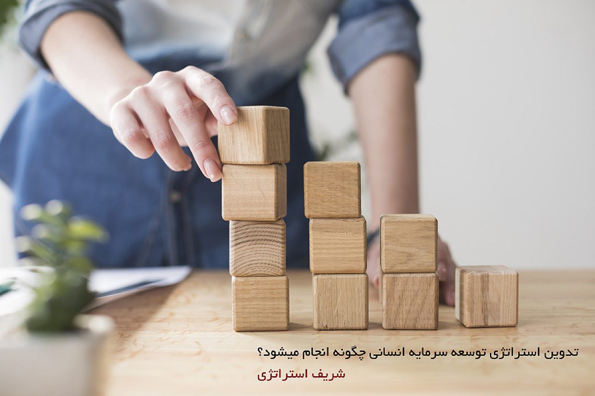 تدوین استراتژی توسعه سرمایه انسانی چگونه انجام میشود؟
