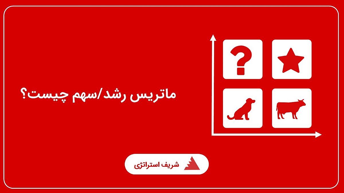 ماتریس رشد/سهم چیست؟