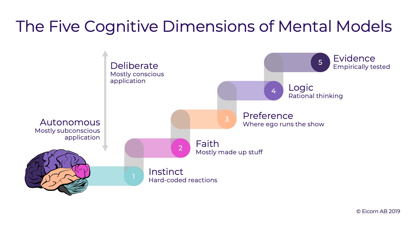 فرایند شکل گیری مدل های ذهنی چگونه است