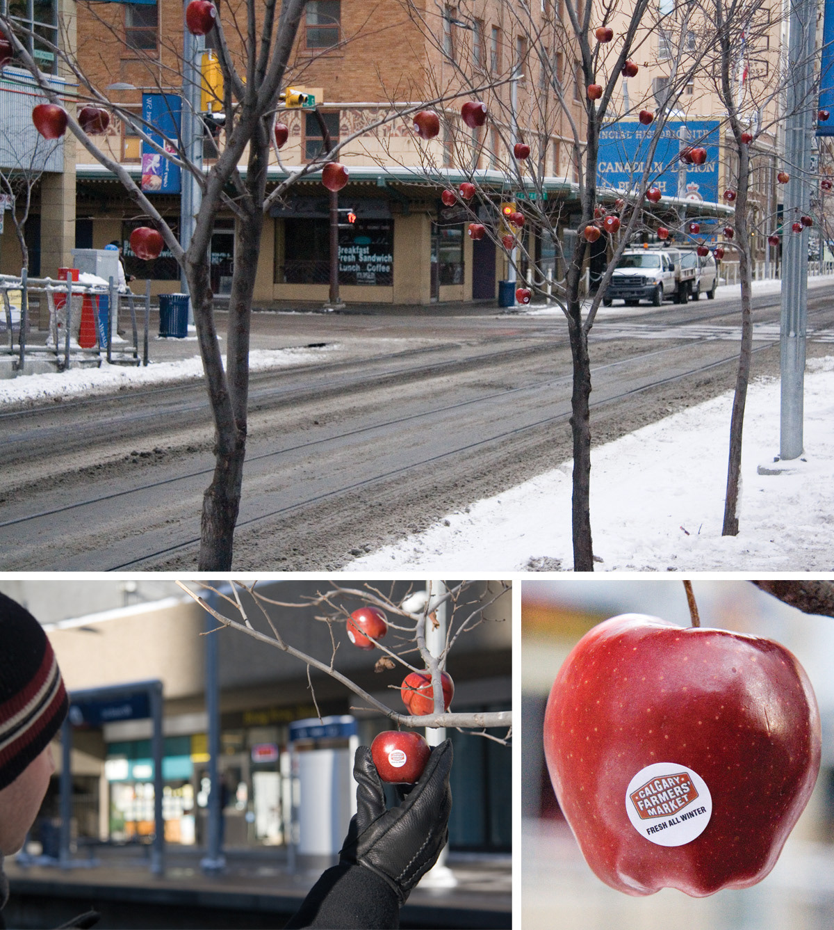 نمونه بازاریابی کششی یا جاذبه ای و کشیدنی