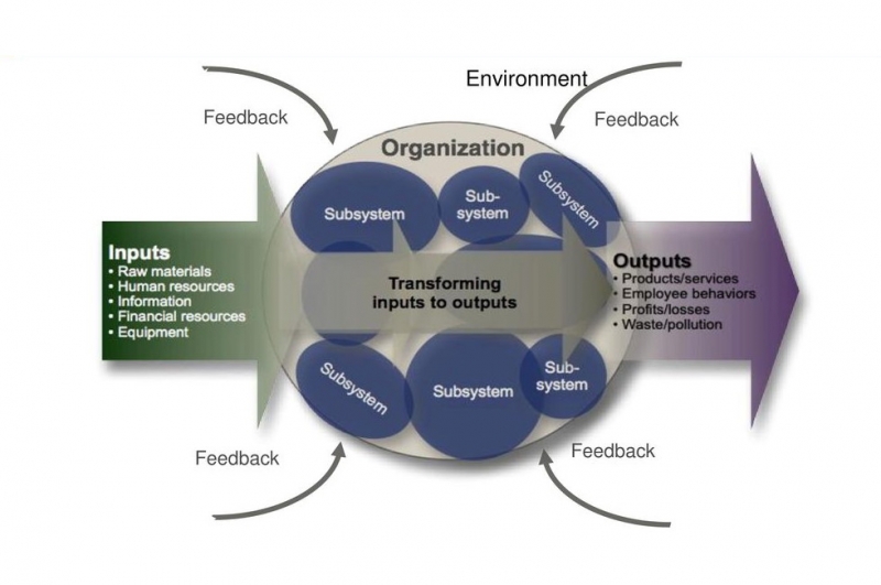 شمای کلی یک سازمان سیستم باز چگونه است