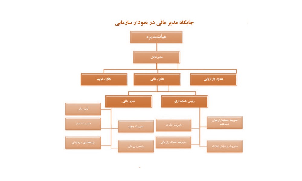 نمودار سازمانی زیر نمونه معمول شرکتی غیرمالی است. در این بنگاه ها است که مدیر مالی معنی دارد. عنوان «مدیر مالی» برای شرکت غیر مالی به کار می رود. اگر در شرکت بیمه ایرانی عنوان «مدیر مالی» را دیدیم، منظور به بیان اشتباه «حسابدار کل» است. شرکت های بیمه و بیمه مرکزی باید اصطلاحات خود را تصحیح کنند. در بانک هم عنوان مدیر مالی نداریم. مدیر مالی اصطلاحی برای شرکت های غیر مالی است.