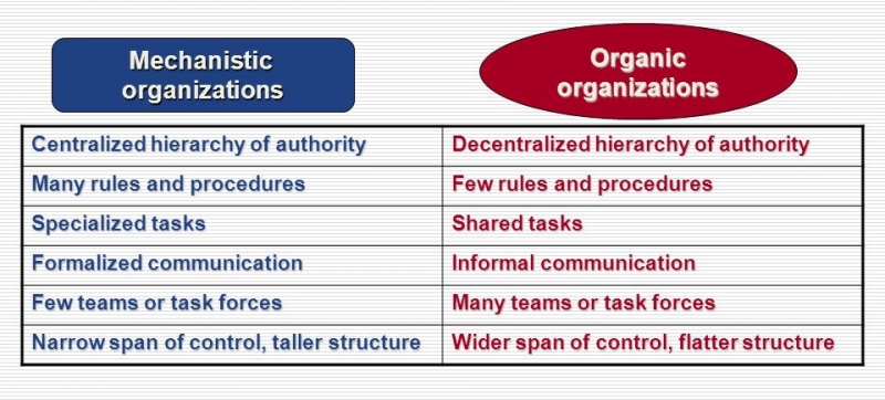 ویژگی های سازمان بروکراتیک و ارگانیک