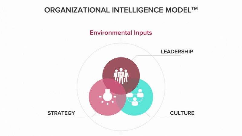 تعریف دقیق هوش سازمانی چیست