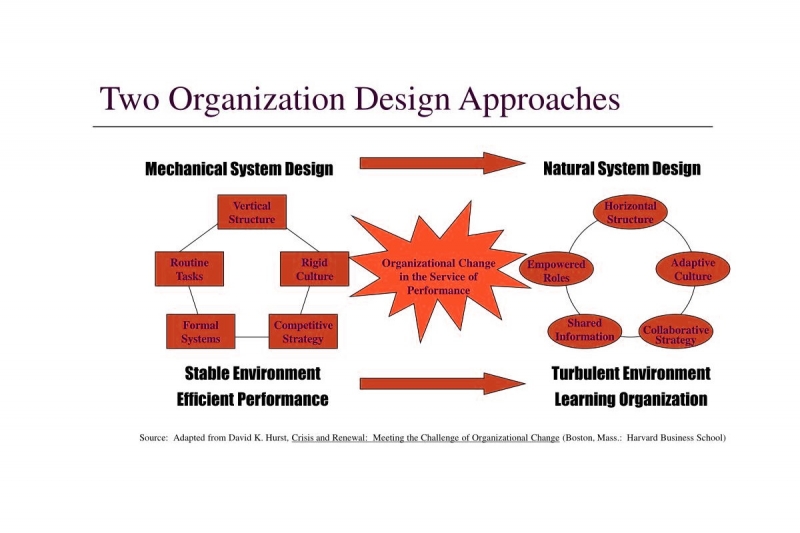 رویکرد و نظریه سازمانی سیستم طبیعی