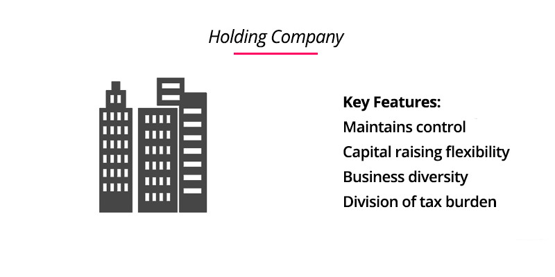 تعریف هلدینگ و استراتژی بنگاه مادر و سازمان مادر چیست چیست
