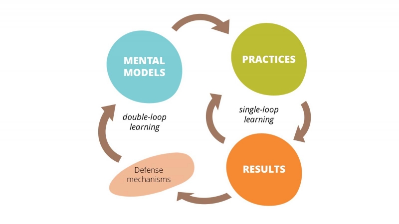 فرایند یادگیری سازمانی در سازمان های یادگیرنده