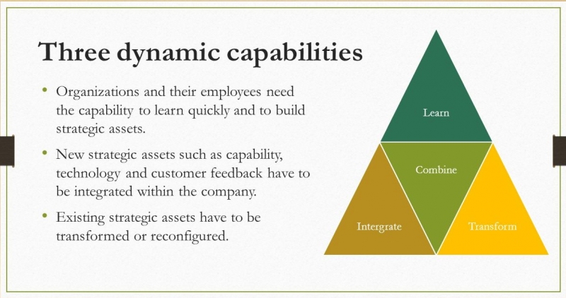 قابلیت های پویا در سازمان چطور میتوانند باعث رشد سازمان شوند