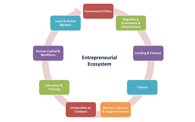 استراتژی کارافرینی در شرکتها و کسب و کارها چگونه اجرا میشود