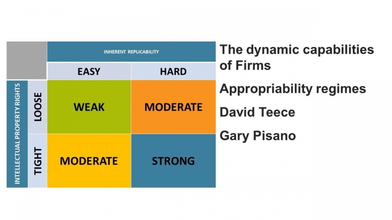 قابلیت های پویا در سازمان چگونه
