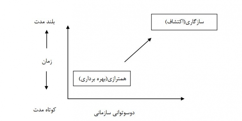 معنی و مفهوم دوستوانی سازمانی چیست؟