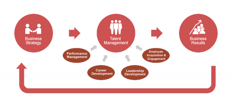 استراتژی های مربوط به مشاوره سازمانی و کسب و کار