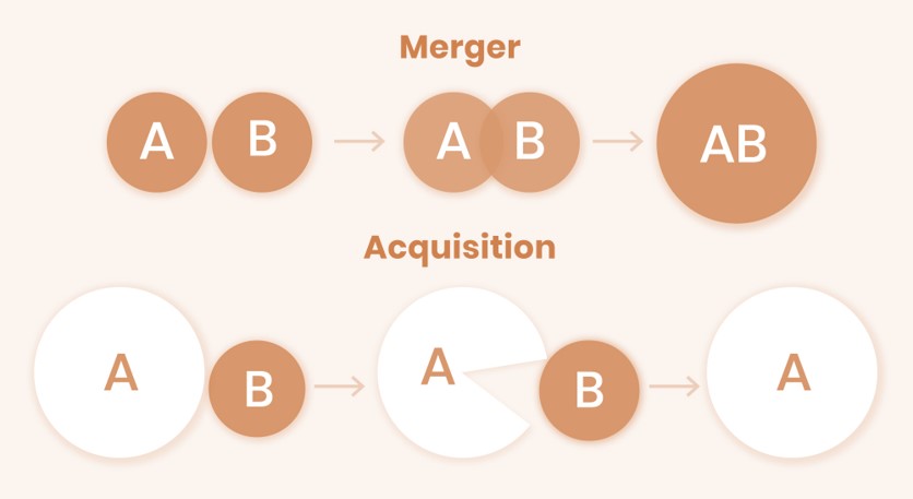 تفاوت بین ادغام و تملک