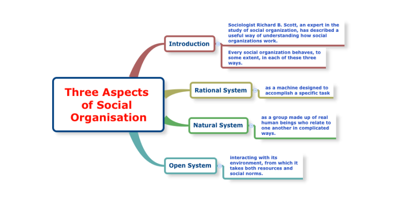 تئوری سازمان های سیستم طبیعی چیست؟