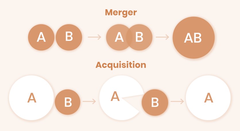 تفاوت بین ادغام و تملک