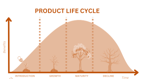 چرخه عمر محصول