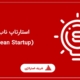 استارتاپ ناب (Lean Startup)