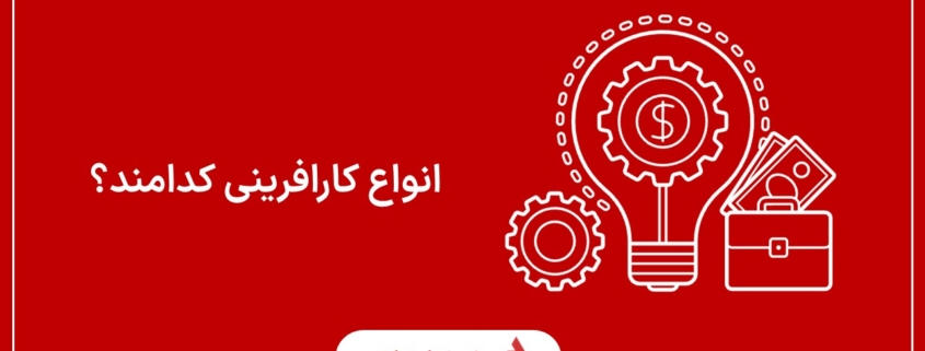 انواع کارافرینی کدامند؟
