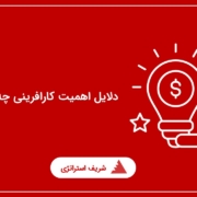 دلایل اهمیت کارافرینی چه می باشد؟